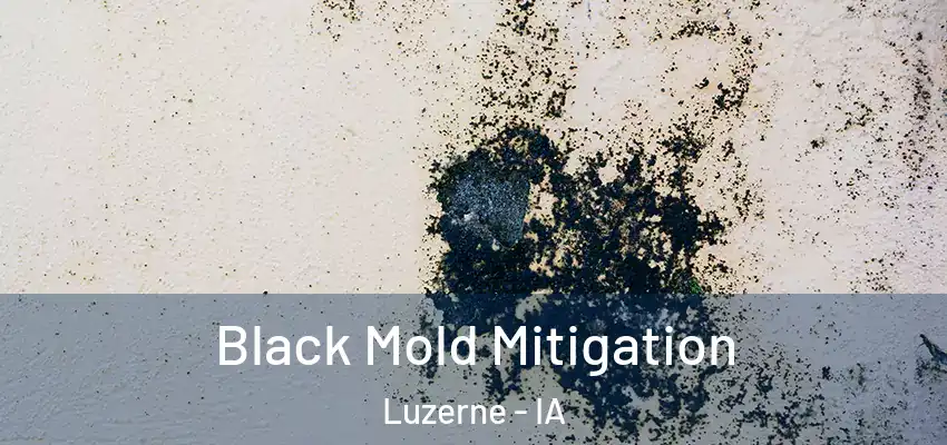  Black Mold Mitigation Luzerne - IA