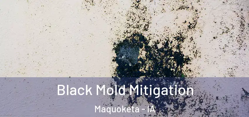 Black Mold Mitigation Maquoketa - IA