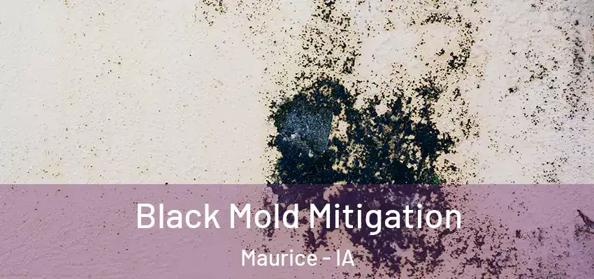 Black Mold Mitigation Maurice - IA