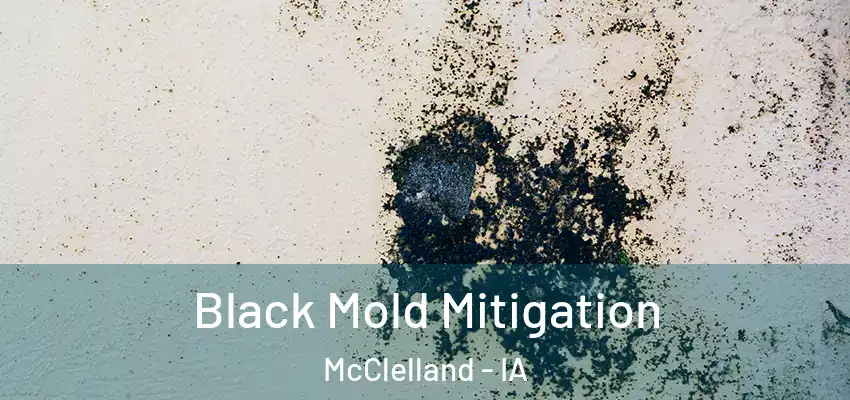 Black Mold Mitigation McClelland - IA