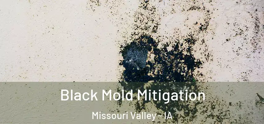  Black Mold Mitigation Missouri Valley - IA
