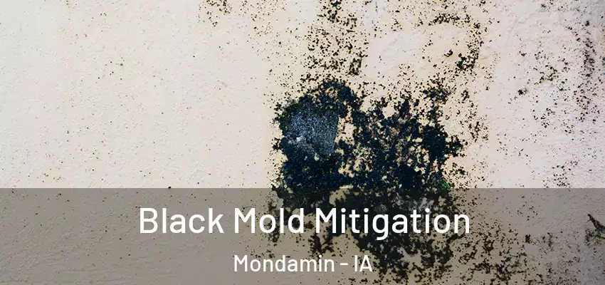 Black Mold Mitigation Mondamin - IA