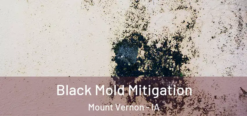 Black Mold Mitigation Mount Vernon - IA
