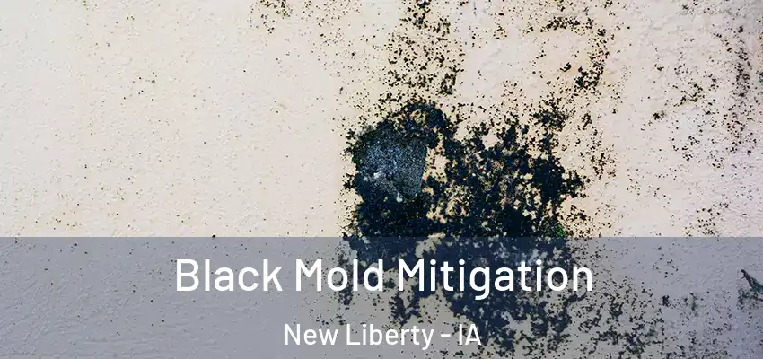  Black Mold Mitigation New Liberty - IA