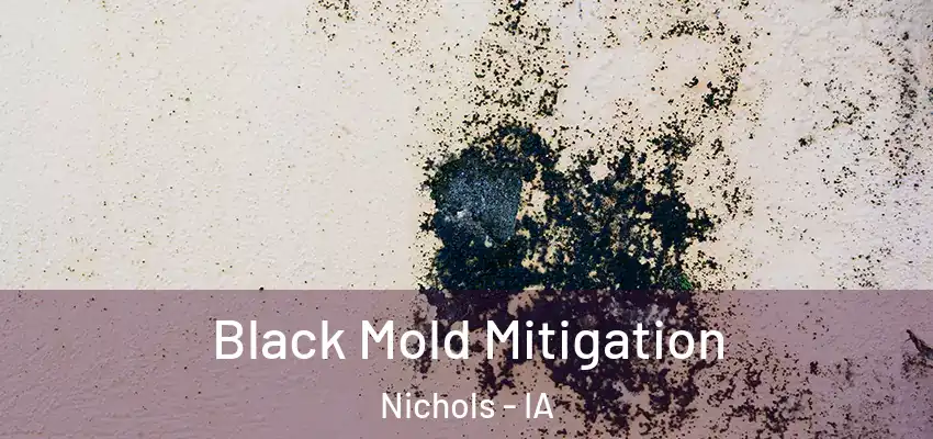  Black Mold Mitigation Nichols - IA