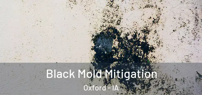  Black Mold Mitigation Oxford - IA