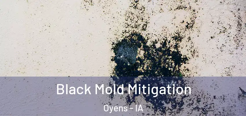 Black Mold Mitigation Oyens - IA