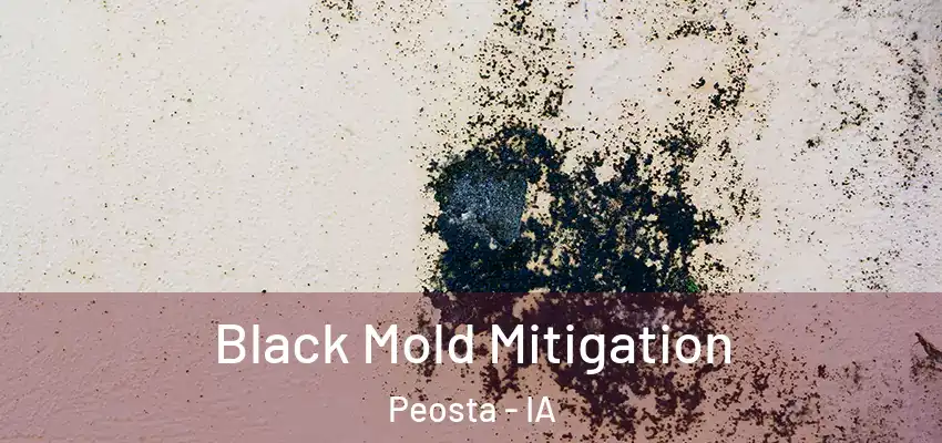  Black Mold Mitigation Peosta - IA