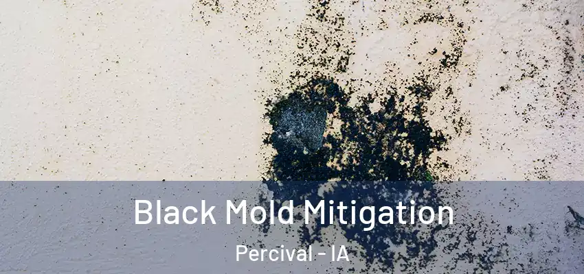 Black Mold Mitigation Percival - IA