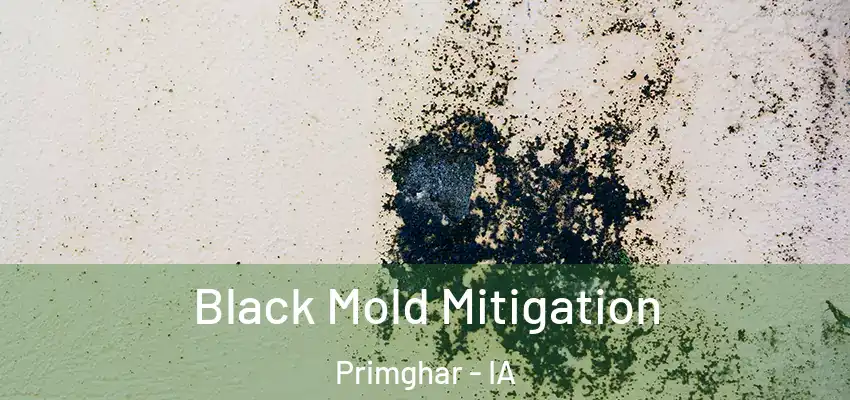  Black Mold Mitigation Primghar - IA