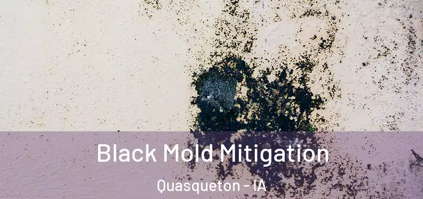  Black Mold Mitigation Quasqueton - IA