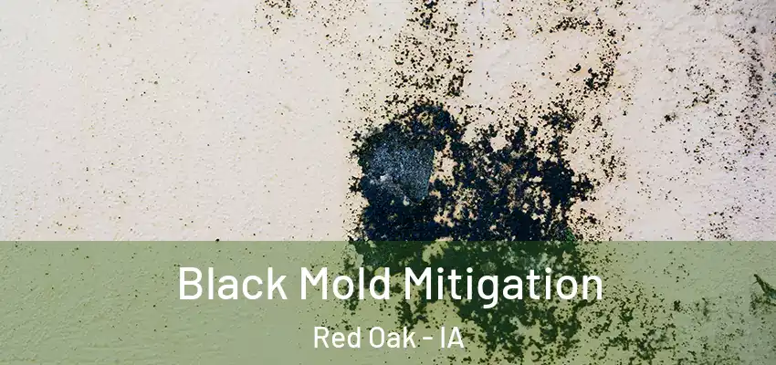 Black Mold Mitigation Red Oak - IA