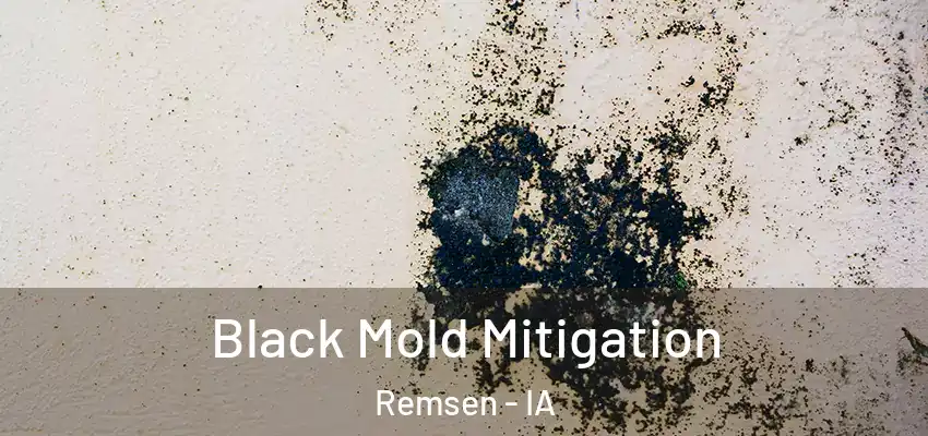 Black Mold Mitigation Remsen - IA