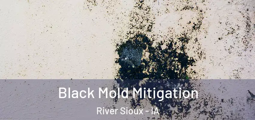 Black Mold Mitigation River Sioux - IA