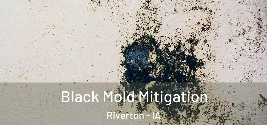  Black Mold Mitigation Riverton - IA