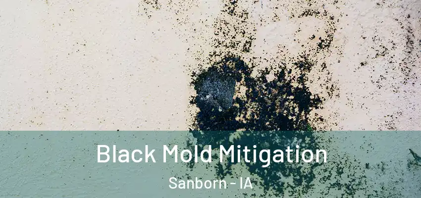 Black Mold Mitigation Sanborn - IA