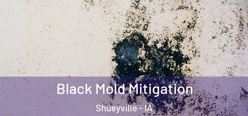  Black Mold Mitigation Shueyville - IA