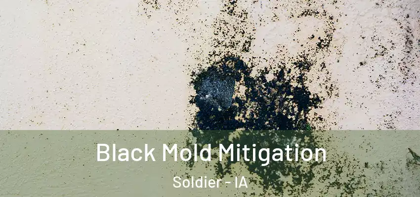 Black Mold Mitigation Soldier - IA