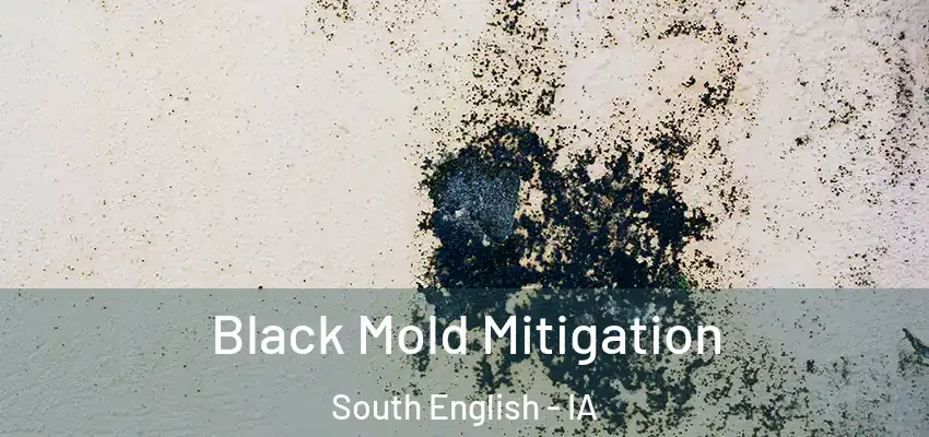 Black Mold Mitigation South English - IA