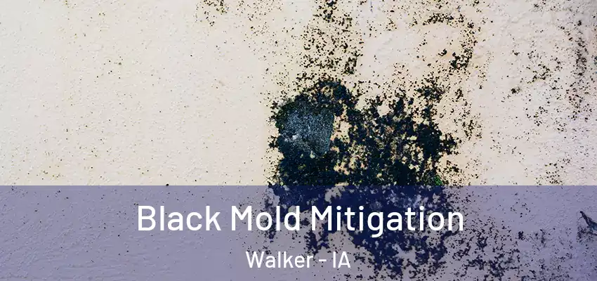 Black Mold Mitigation Walker - IA