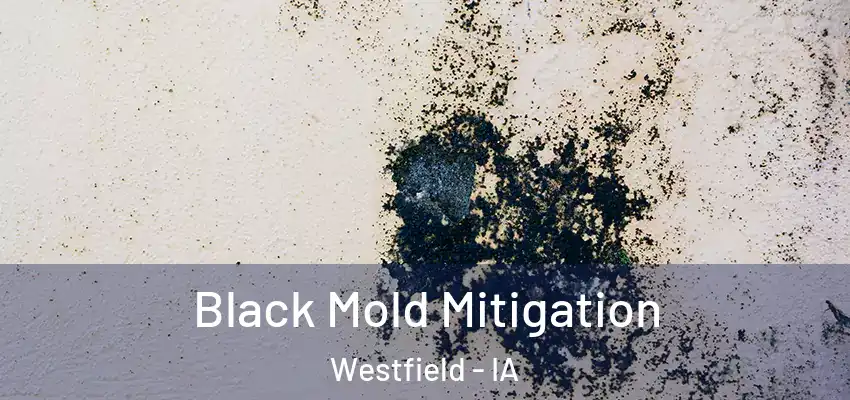 Black Mold Mitigation Westfield - IA
