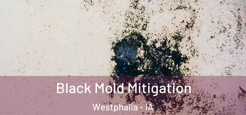 Black Mold Mitigation Westphalia - IA