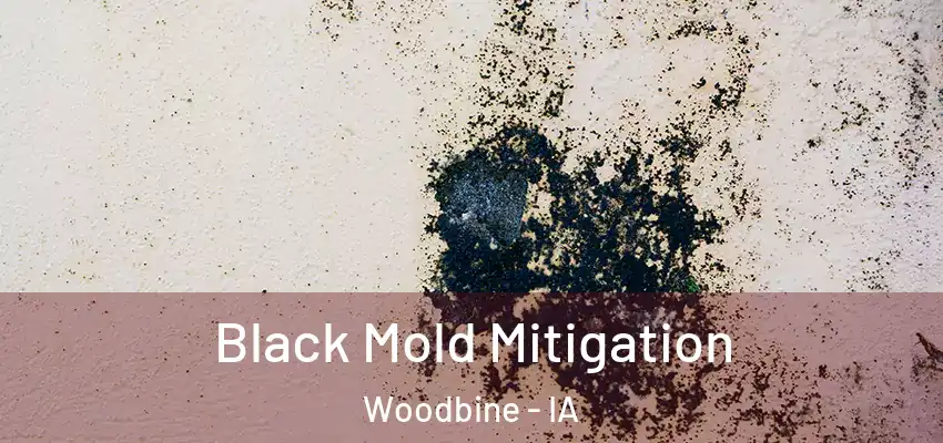 Black Mold Mitigation Woodbine - IA