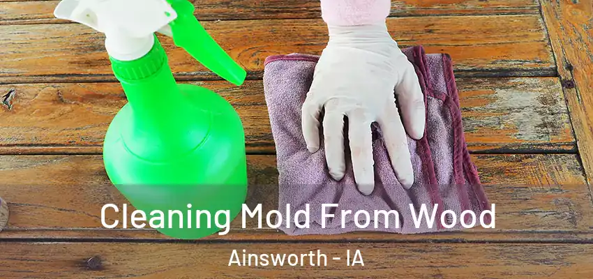  Cleaning Mold From Wood Ainsworth - IA