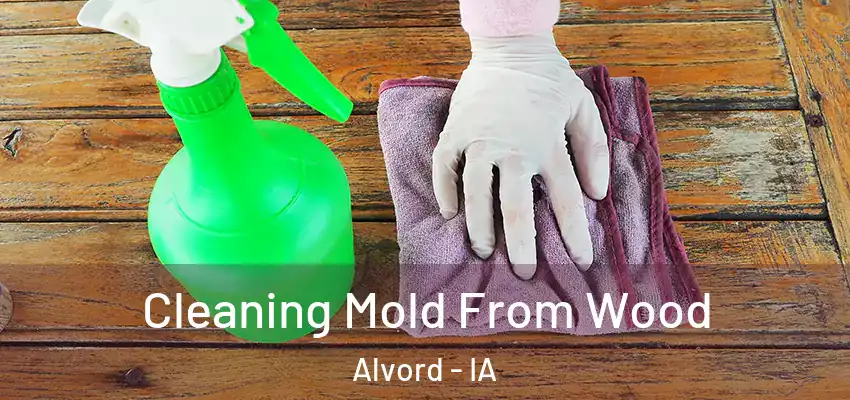  Cleaning Mold From Wood Alvord - IA