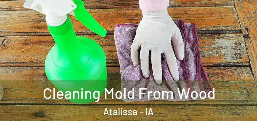  Cleaning Mold From Wood Atalissa - IA