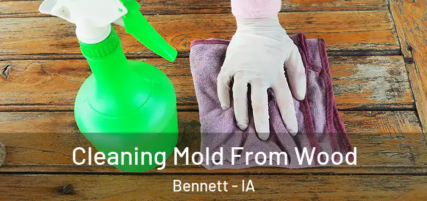 Cleaning Mold From Wood Bennett - IA