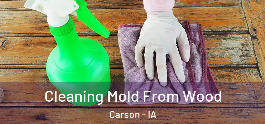  Cleaning Mold From Wood Carson - IA