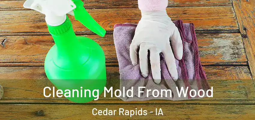  Cleaning Mold From Wood Cedar Rapids - IA