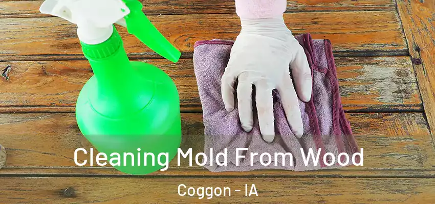  Cleaning Mold From Wood Coggon - IA