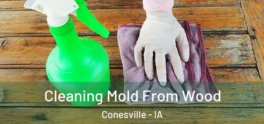  Cleaning Mold From Wood Conesville - IA