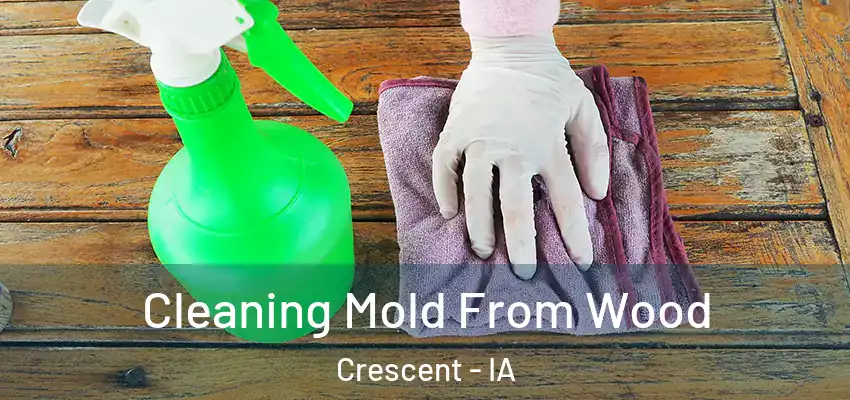  Cleaning Mold From Wood Crescent - IA