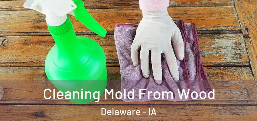  Cleaning Mold From Wood Delaware - IA