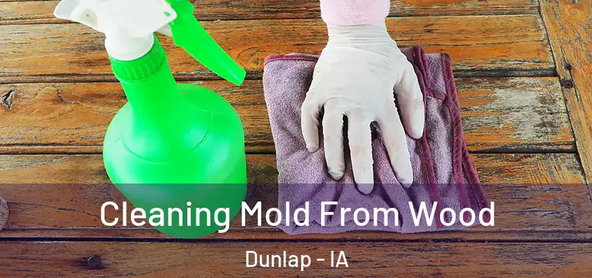 Cleaning Mold From Wood Dunlap - IA