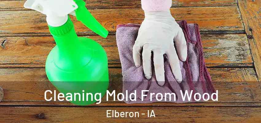  Cleaning Mold From Wood Elberon - IA