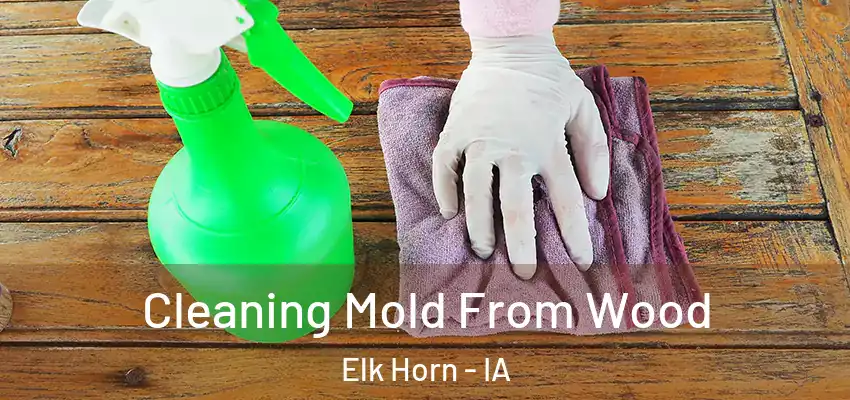 Cleaning Mold From Wood Elk Horn - IA