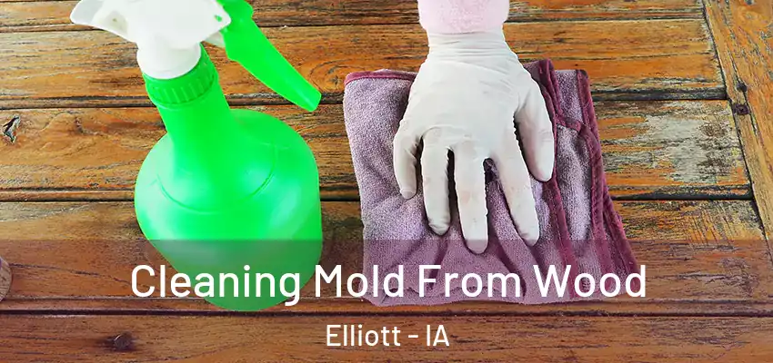  Cleaning Mold From Wood Elliott - IA