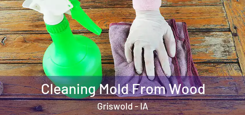 Cleaning Mold From Wood Griswold - IA