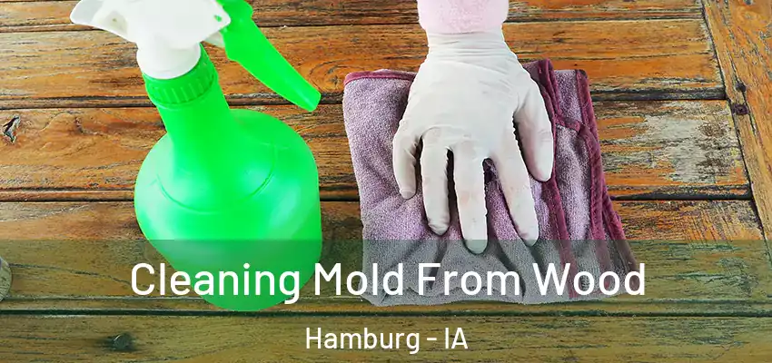  Cleaning Mold From Wood Hamburg - IA