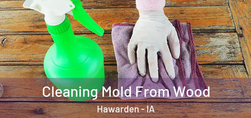 Cleaning Mold From Wood Hawarden - IA
