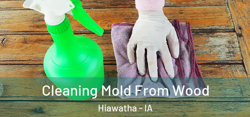 Cleaning Mold From Wood Hiawatha - IA