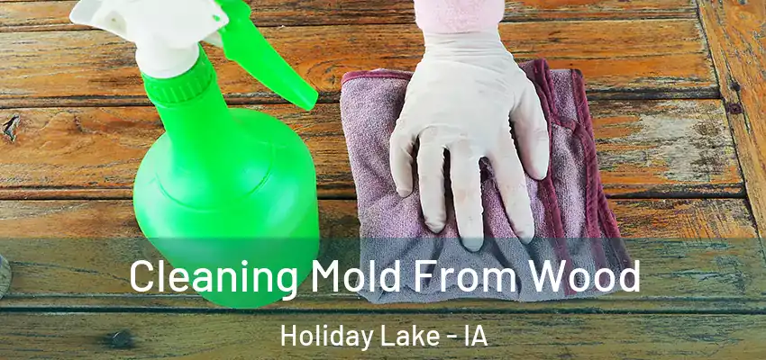 Cleaning Mold From Wood Holiday Lake - IA