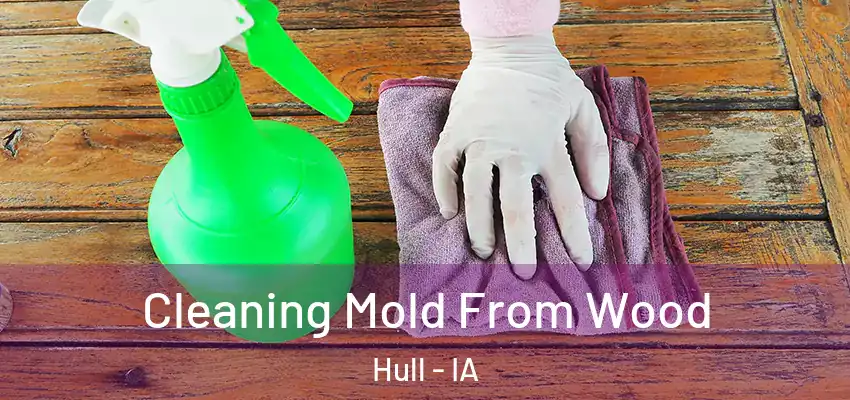  Cleaning Mold From Wood Hull - IA
