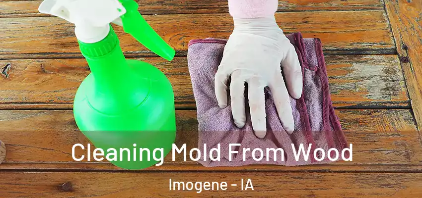  Cleaning Mold From Wood Imogene - IA