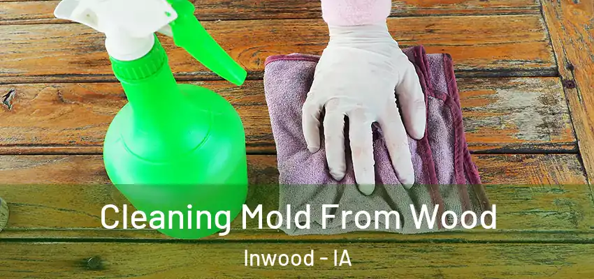 Cleaning Mold From Wood Inwood - IA