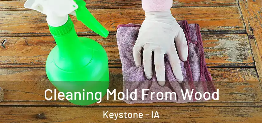  Cleaning Mold From Wood Keystone - IA